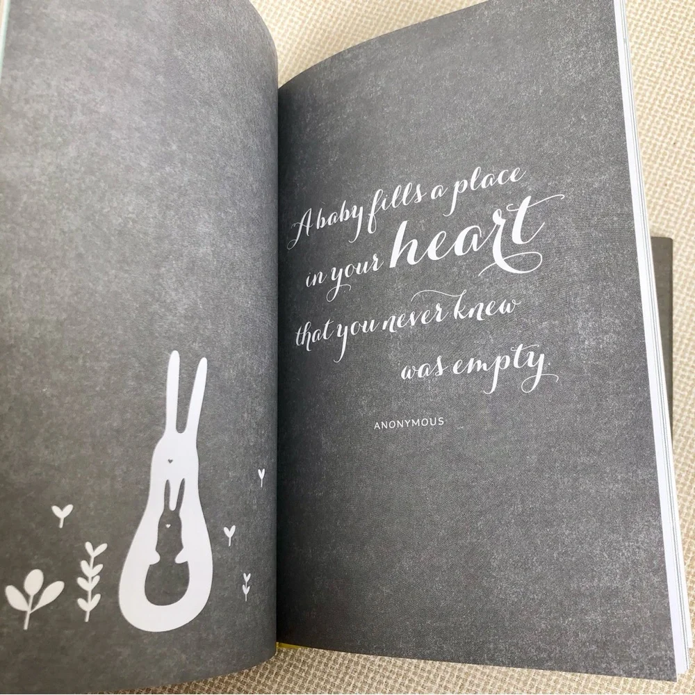 Expecting You Keepsake Pregnancy Journal - hardcover Compendium